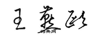 骆恒光王燕欧草书个性签名怎么写
