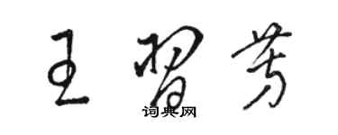 骆恒光王习芳草书个性签名怎么写