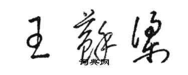 骆恒光王苏梁草书个性签名怎么写