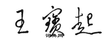 骆恒光王宝起草书个性签名怎么写