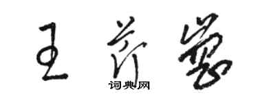 骆恒光王芹岗草书个性签名怎么写