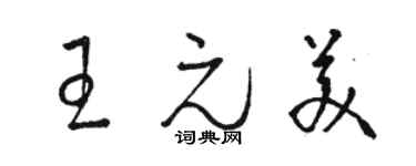 骆恒光王元美草书个性签名怎么写