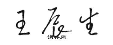 骆恒光王辰生草书个性签名怎么写