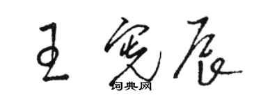 骆恒光王宪辰草书个性签名怎么写