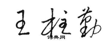 骆恒光王柱勤草书个性签名怎么写
