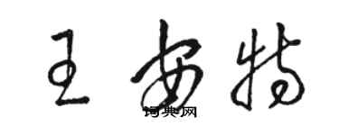 骆恒光王安特草书个性签名怎么写
