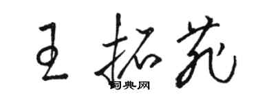 骆恒光王拓菲草书个性签名怎么写