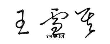 骆恒光王雪其草书个性签名怎么写