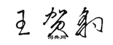 骆恒光王贺豹草书个性签名怎么写