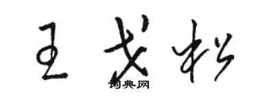 骆恒光王戈松草书个性签名怎么写