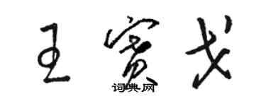 骆恒光王赛戈草书个性签名怎么写