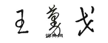 骆恒光王蔓戈草书个性签名怎么写