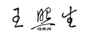 骆恒光王照生草书个性签名怎么写