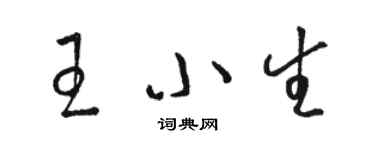 骆恒光王小生草书个性签名怎么写