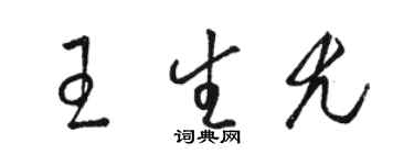 骆恒光王生尤草书个性签名怎么写