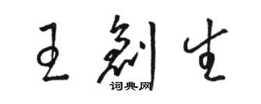 骆恒光王创生草书个性签名怎么写