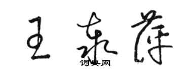 骆恒光王泰萍草书个性签名怎么写