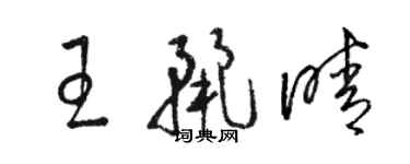 骆恒光王丽晴草书个性签名怎么写
