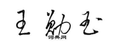 骆恒光王勋玉草书个性签名怎么写