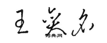 骆恒光王奕名草书个性签名怎么写