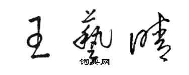 骆恒光王艺晴草书个性签名怎么写