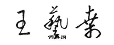 骆恒光王艺桑草书个性签名怎么写