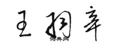 骆恒光王羽辛草书个性签名怎么写