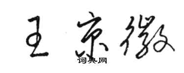 骆恒光王京徽草书个性签名怎么写