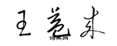 骆恒光王益来草书个性签名怎么写