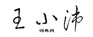 骆恒光王小沛草书个性签名怎么写