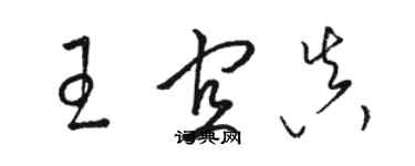 骆恒光王宜真草书个性签名怎么写