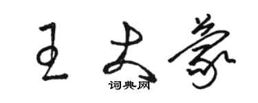 骆恒光王大蒙草书个性签名怎么写