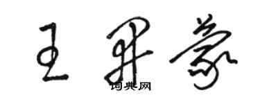 骆恒光王开蒙草书个性签名怎么写