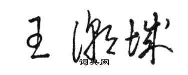骆恒光王潮城草书个性签名怎么写