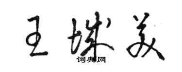 骆恒光王城美草书个性签名怎么写