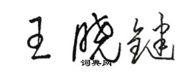 骆恒光王晓键草书个性签名怎么写