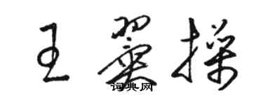 骆恒光王翼操草书个性签名怎么写