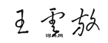 骆恒光王云放草书个性签名怎么写