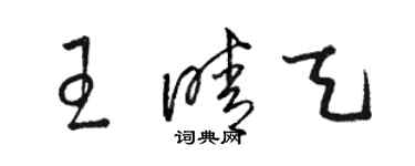 骆恒光王晴天草书个性签名怎么写