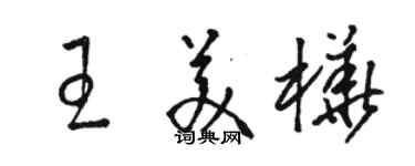 骆恒光王美桦草书个性签名怎么写