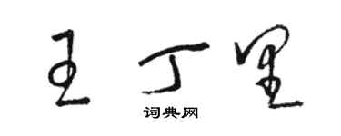 骆恒光王丁里草书个性签名怎么写