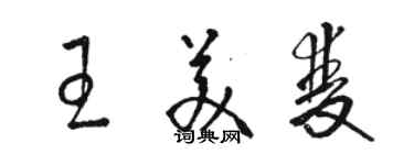骆恒光王美双草书个性签名怎么写