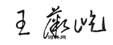 骆恒光王薇屹草书个性签名怎么写
