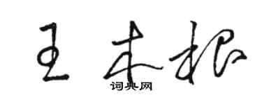 骆恒光王木根草书个性签名怎么写