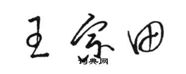 骆恒光王宗田草书个性签名怎么写