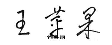 骆恒光王苹果草书个性签名怎么写
