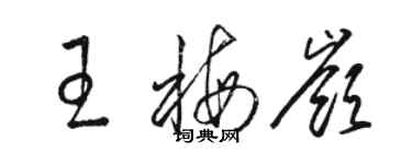 骆恒光王梅岭草书个性签名怎么写