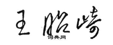 骆恒光王昭崎草书个性签名怎么写