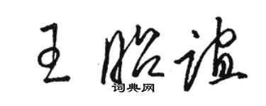 骆恒光王昭谊草书个性签名怎么写
