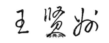 骆恒光王贤州草书个性签名怎么写